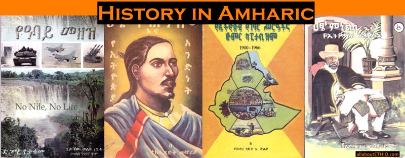 amharic books history