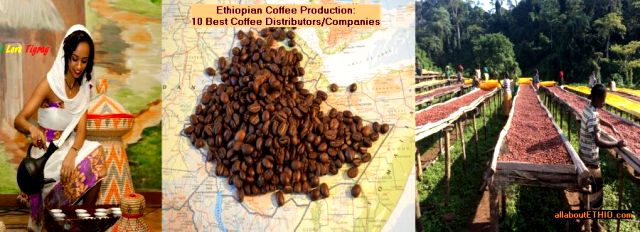 coffee production in ethiopia
