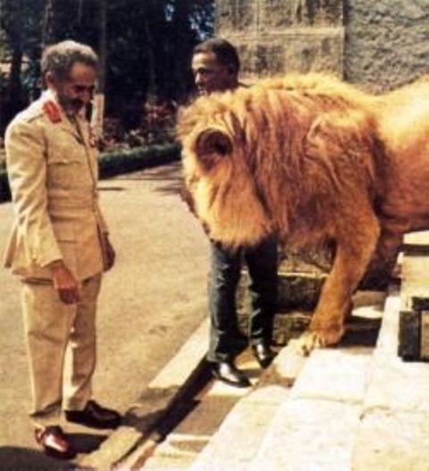 emperor haile selassie with a lion