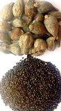 ethiopian black cardamon whole and seeds