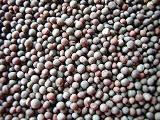 ethiopian black mustard seeds