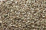 ethiopian carom seeds