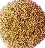 ethiopian fenugreek seeds