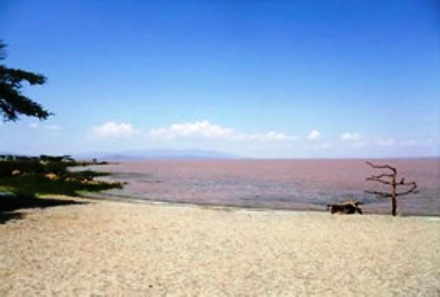 ethiopian lake lagano