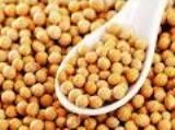 ethiopian soybeans