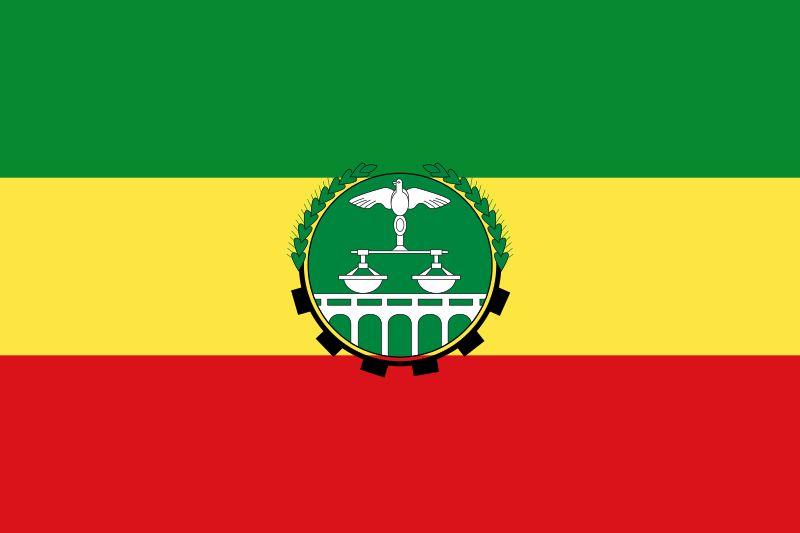 ethiopian transitional government state flag
