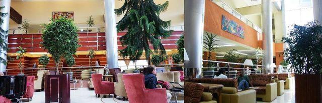 intercontinental hotel lobby in ethiopia