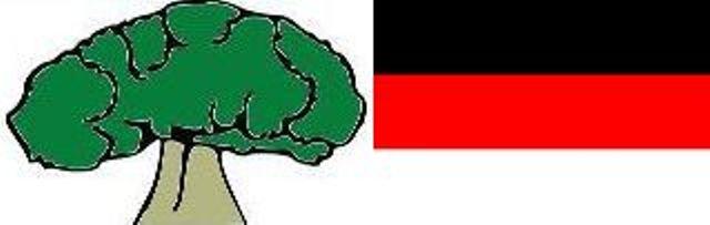oromo tree and colors flag