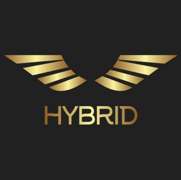 Hybrid Systems PLC