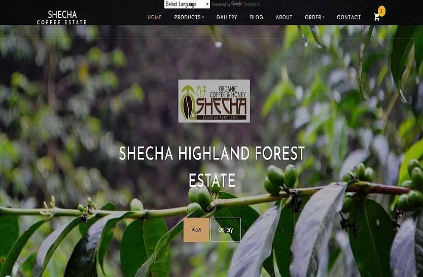 shecha coffee website