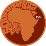 africa tv1 tv