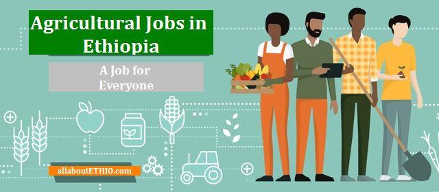 agricultural-jobs-in-ethiopia-farming-jobs