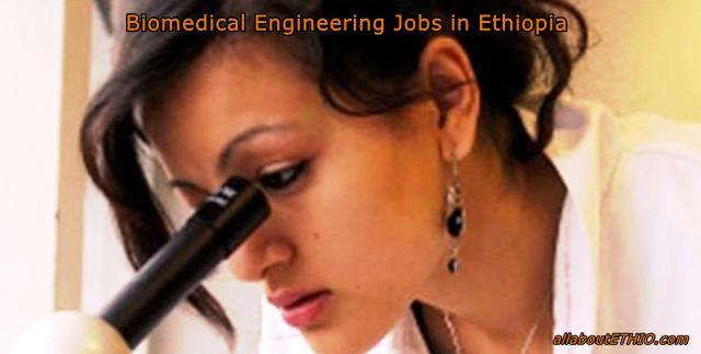 biomedical engineering jobs in ethiopia