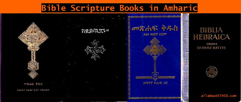 amharic books scripture