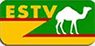 estv tv ethiopia channel
