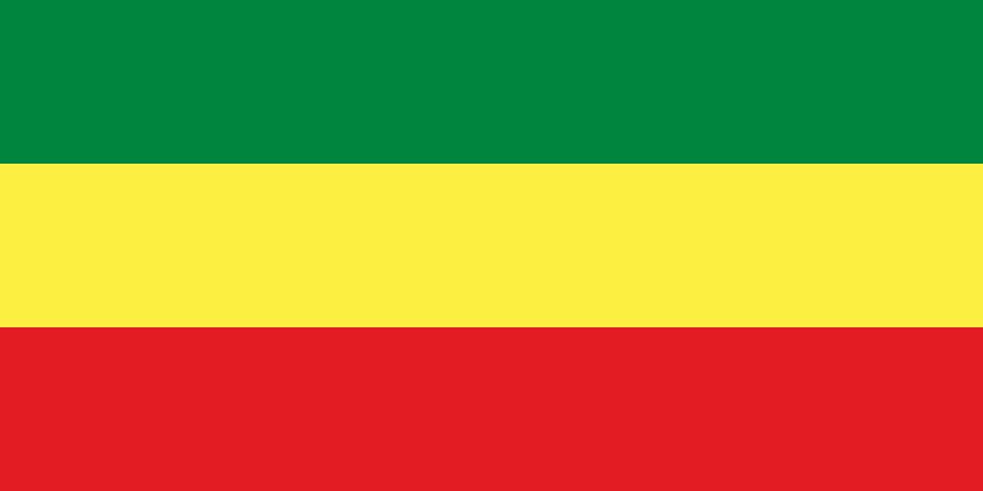 ethiopian transitional government flag