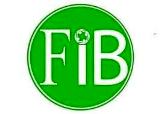 fib finfinnee integrated broadcasting tv