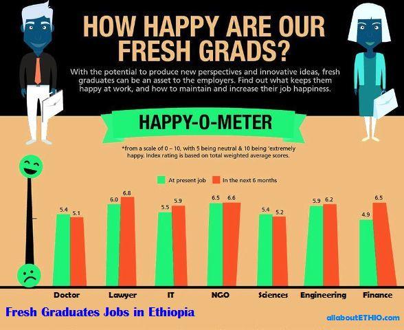 fresh graduate jobs in ethiopia graduate vacancy