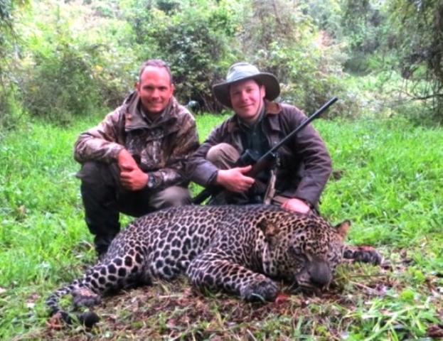 hunting in ethiopia leopard