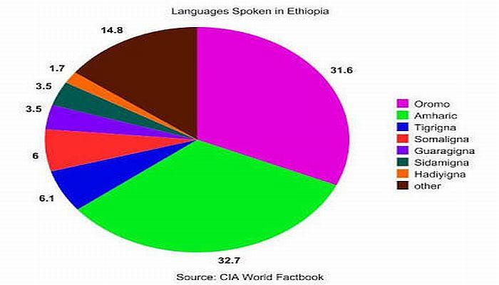 languages of ethiopia