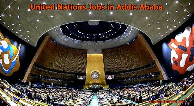 un jobs in addis ababa